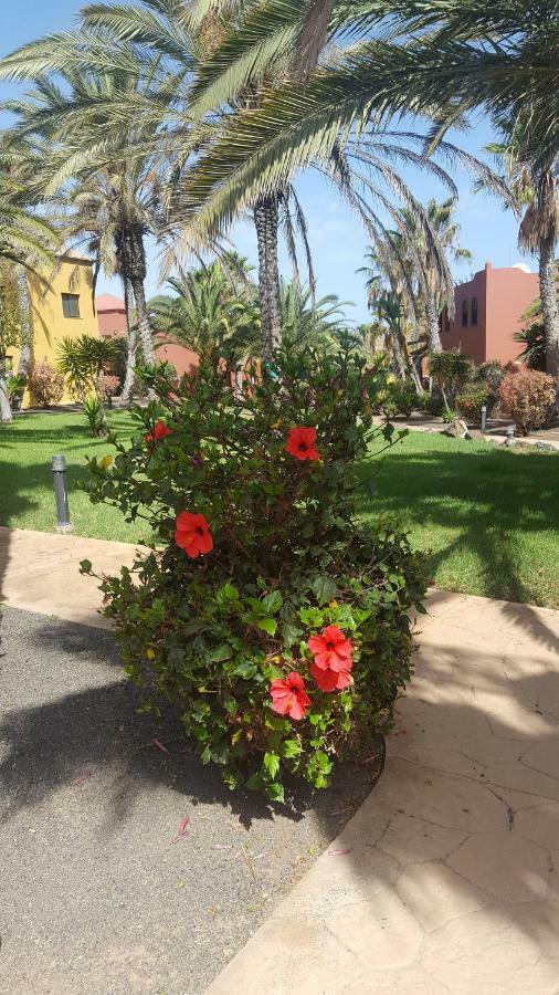 Appartamento Spagnolo Oasis Tamarindo Corralejo Exterior photo